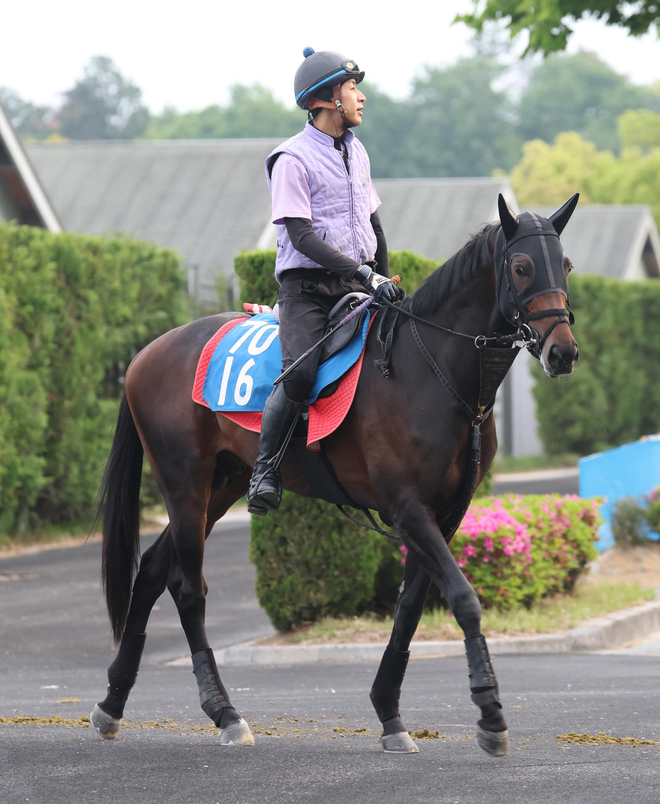 追い切りへ向かうサブマリーナ