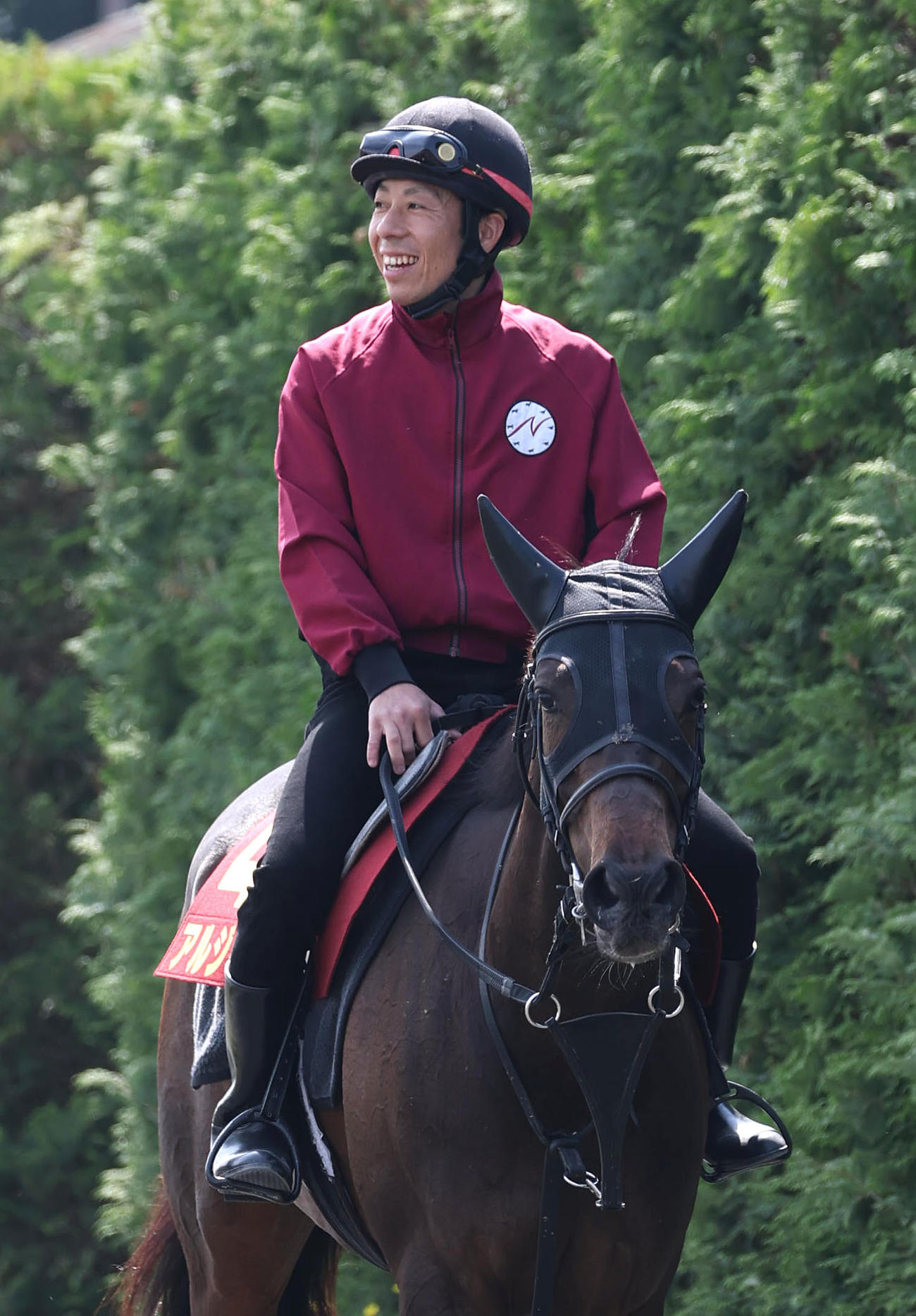 厩舎周りで運動するアルジーヌ（撮影・白石智彦）