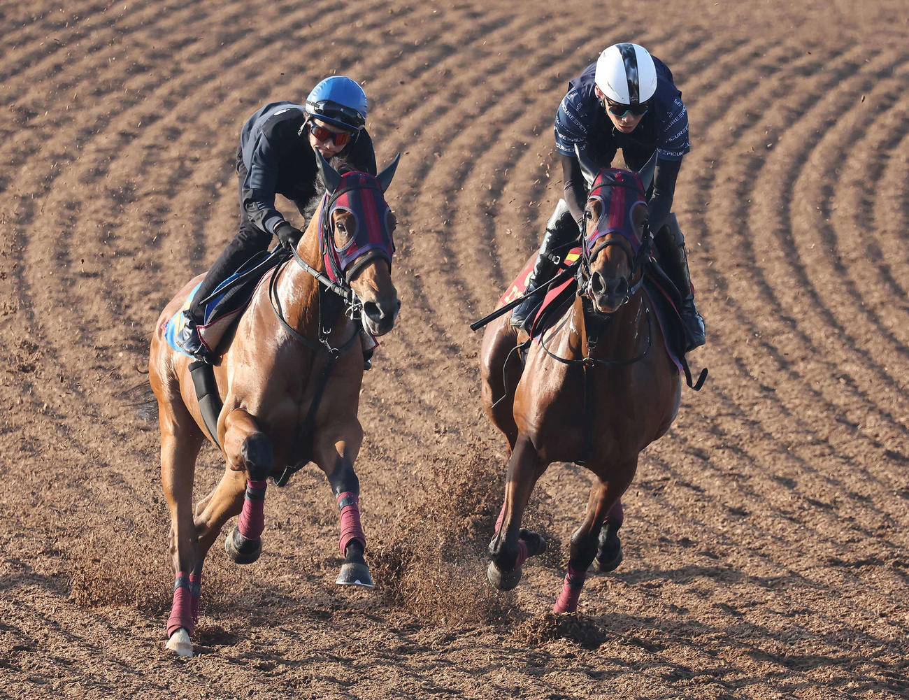 エンブロイダリー（右）は美浦ウッドでタイセイフェスタと併せて追い切られた（撮影・丹羽敏通）