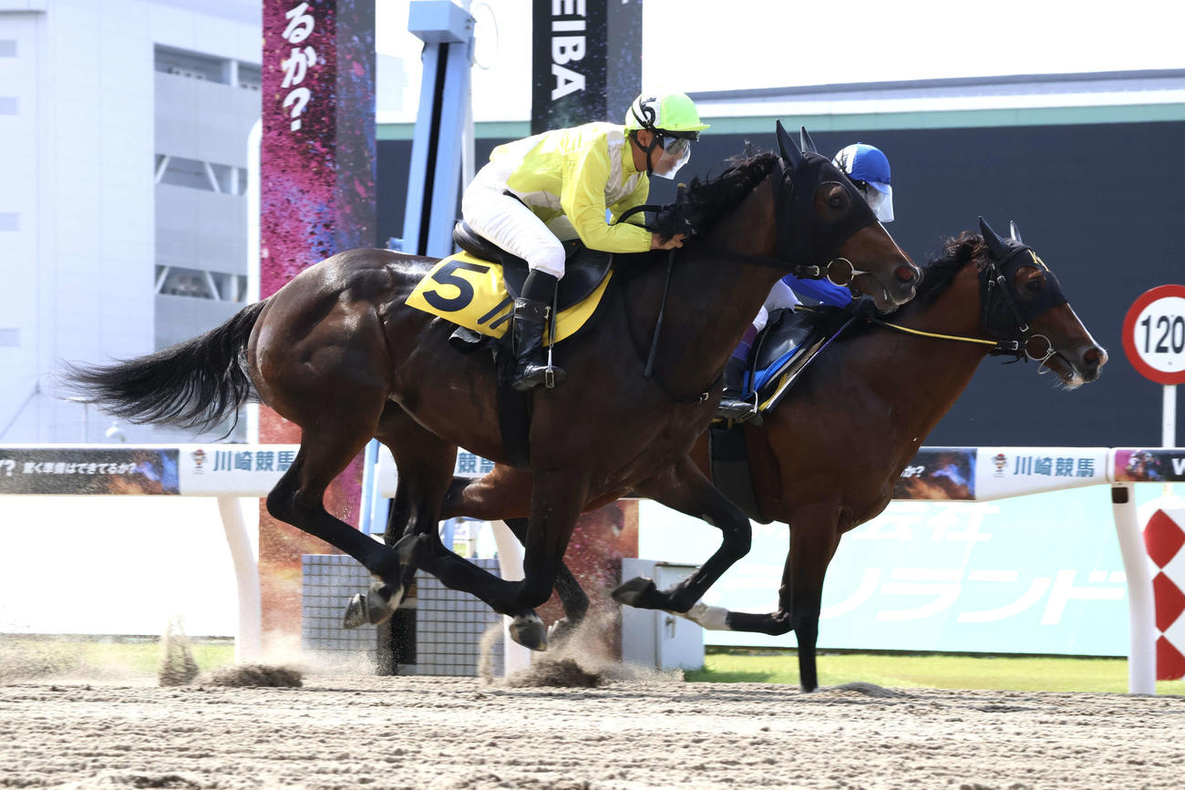 調教試験に出走したベアバッキューンと町田直希騎手（手前）