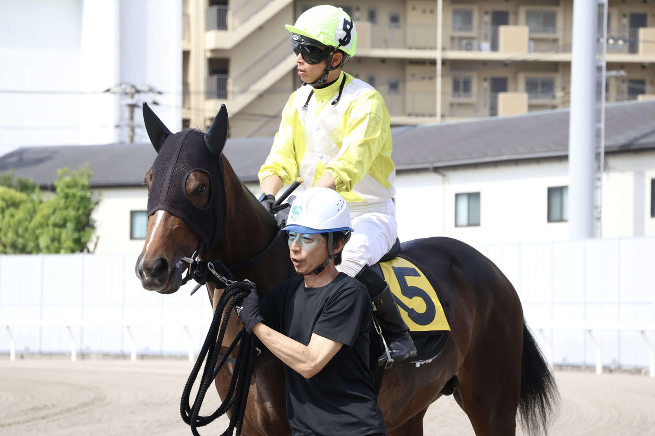 調教試験に向かうベアバッキューンと町田直希騎手