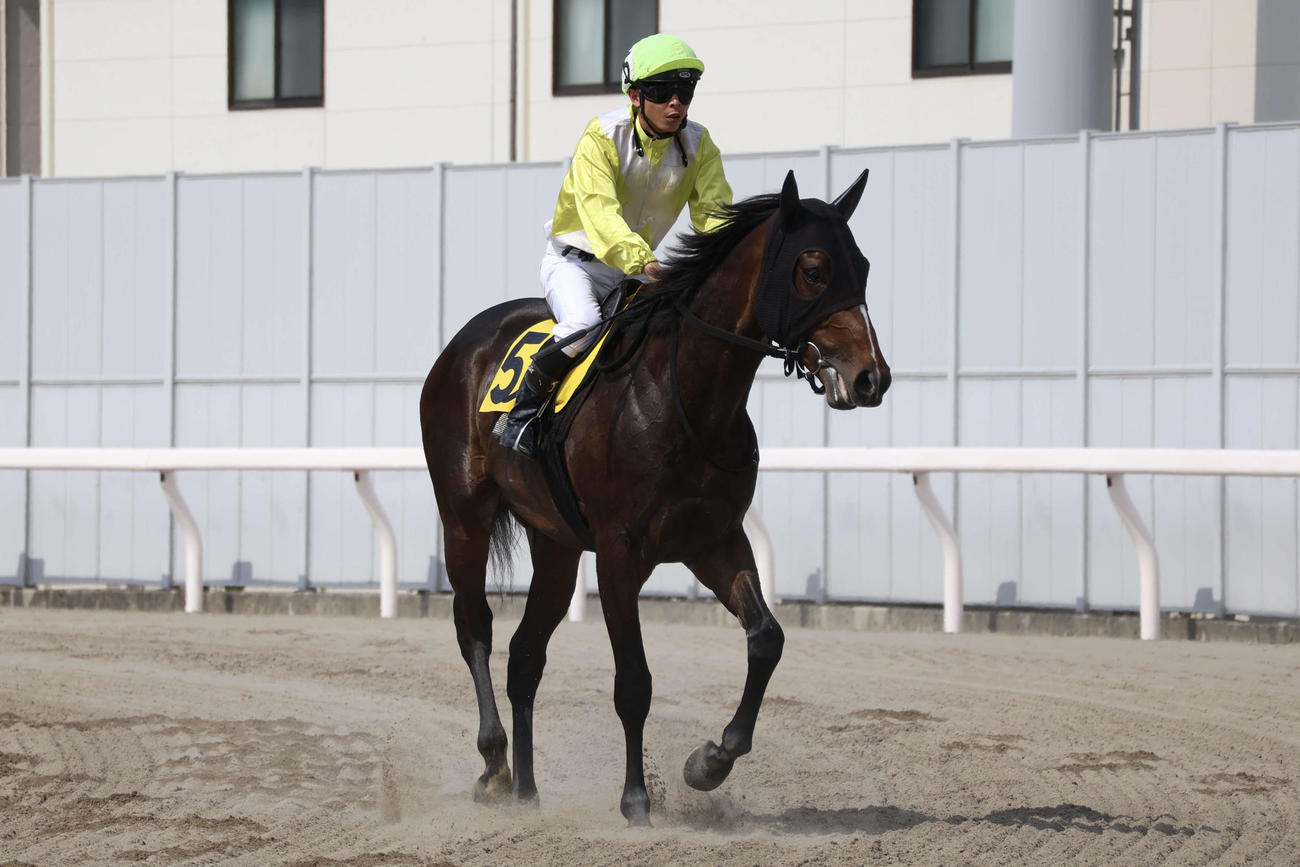 調教試験を終え引き揚げてきたベアバッキューンと町田直希騎手