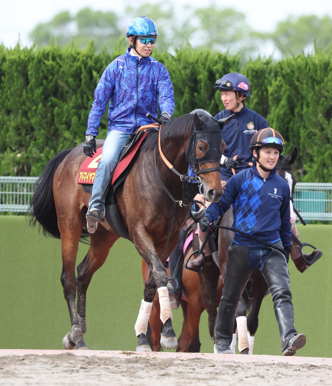 14日、追い切りを終えて馬場を出るアドマイヤマツリ