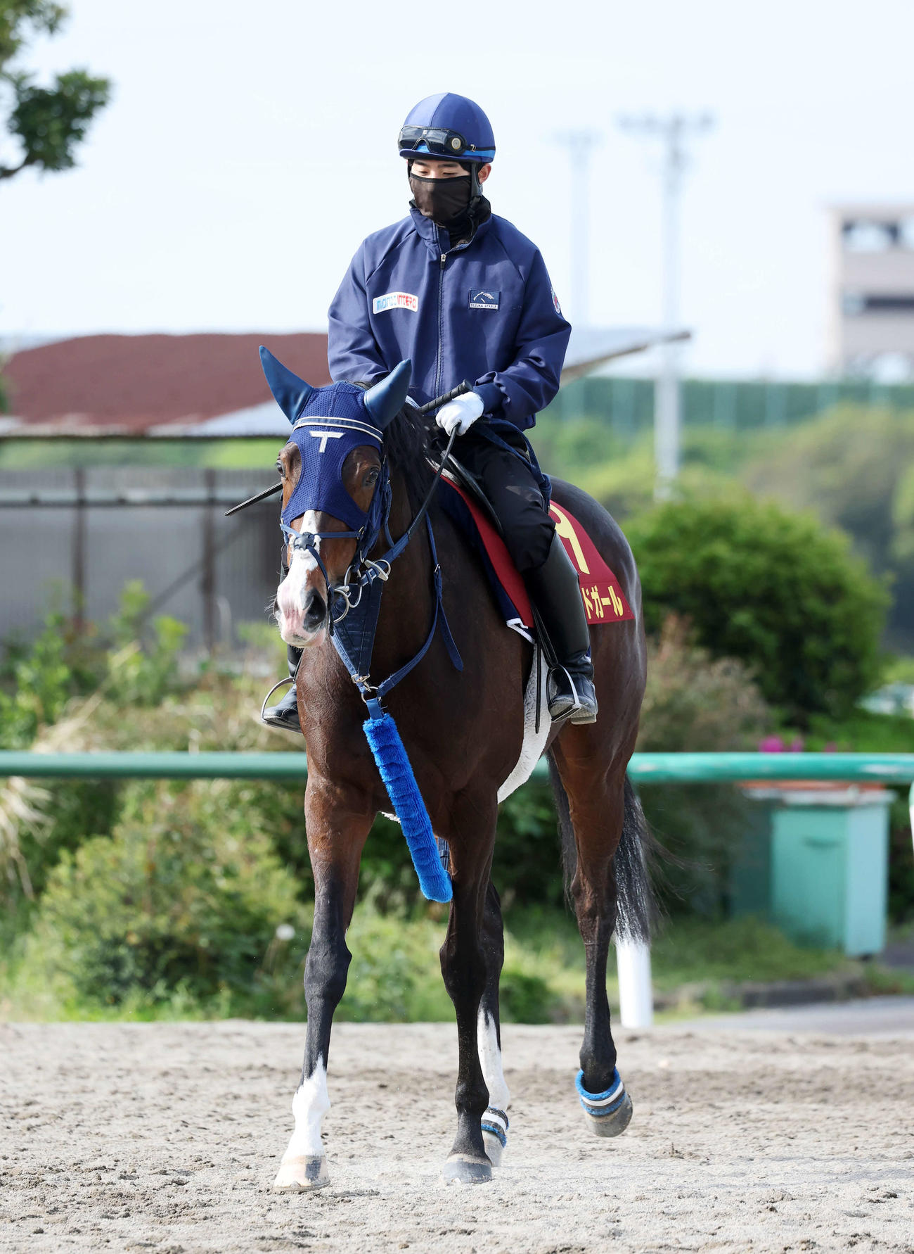 乗り運動するボンドガール（2025年5月8日撮影）