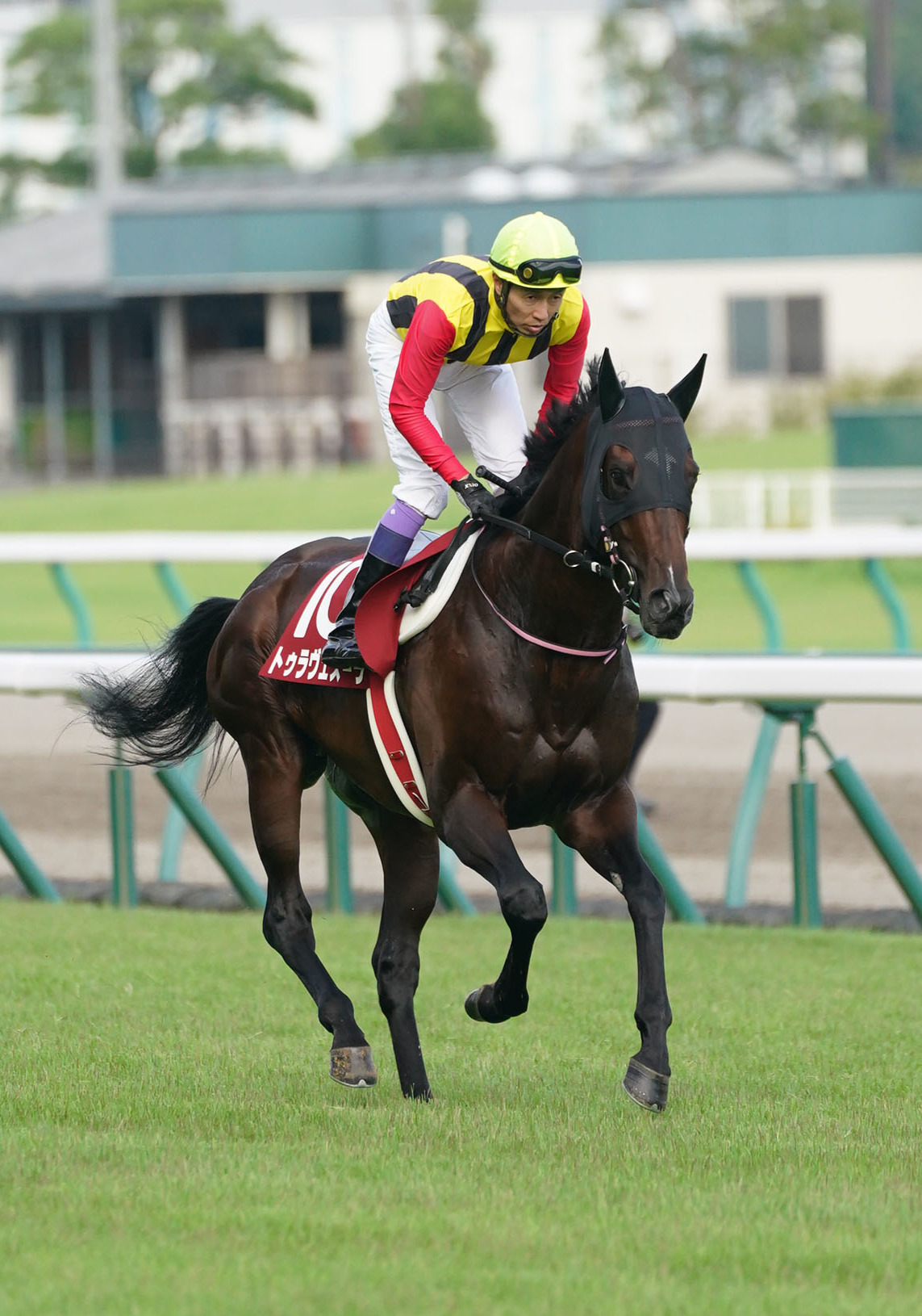 トゥラヴェスーラ（2020年9月撮影）