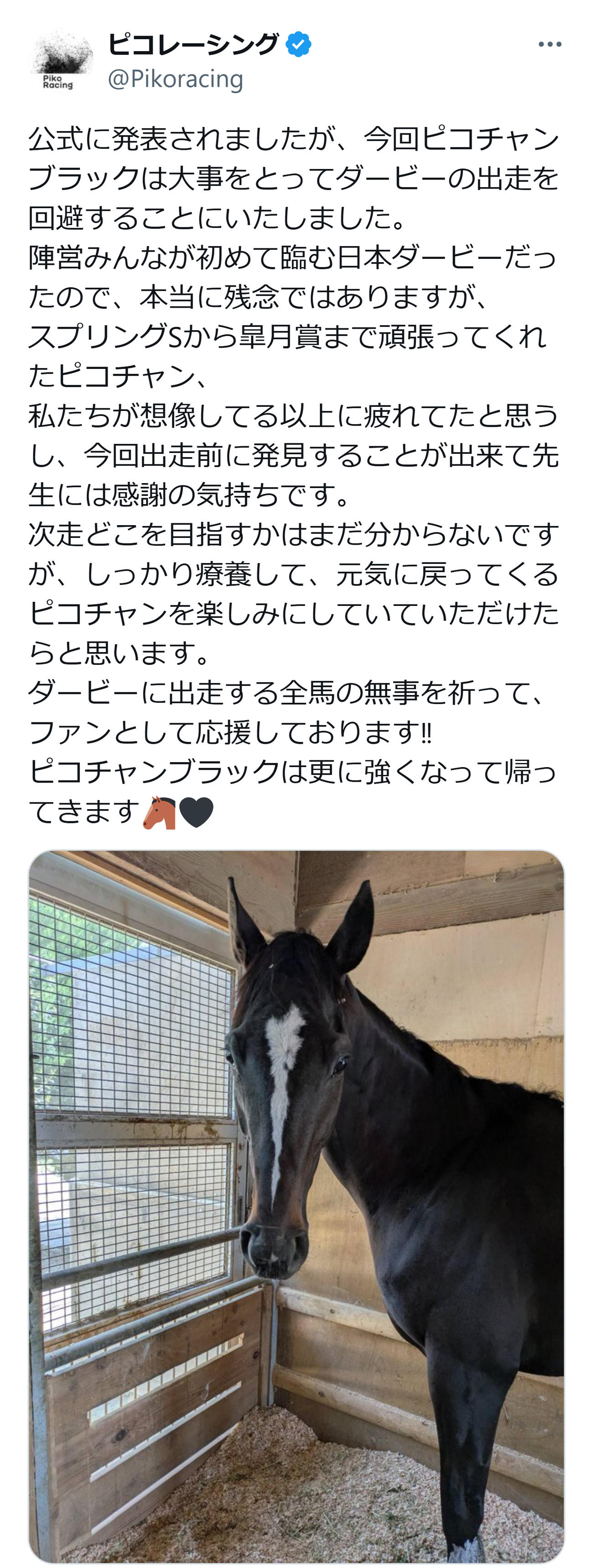 ダービー回避についての投稿（ピコレーシングのXから）