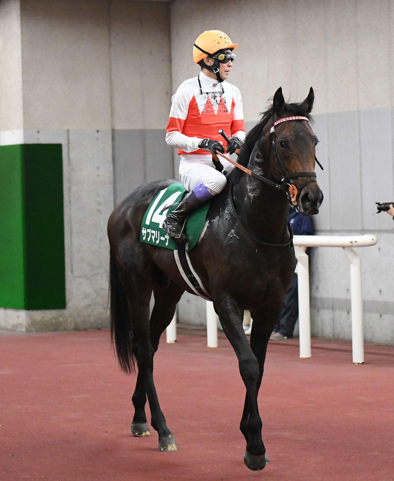 新潟大賞典2着のサブマリーナと武豊騎手（撮影・深田雄智）