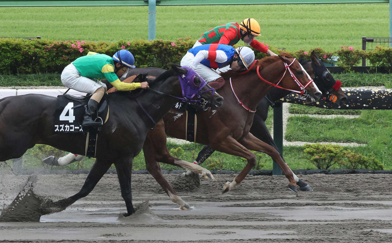 立川特別を制したアンジュフィールドと三浦騎手（中央）（撮影・丹羽敏通）