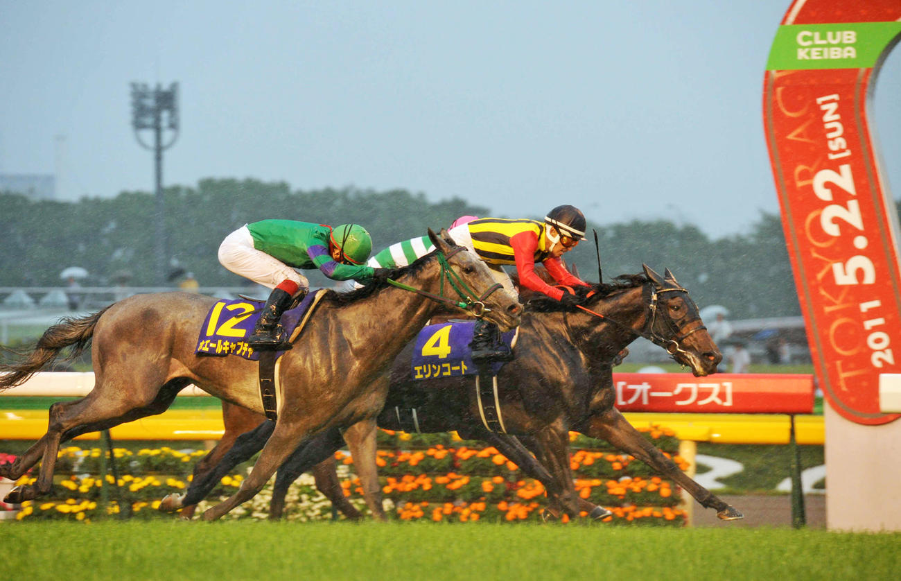 11年オークスを制したエリンコート