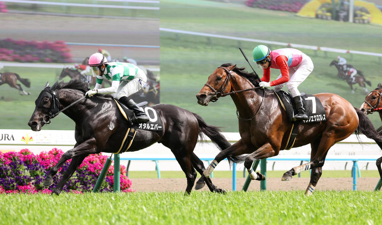 直線抜け出して鞍馬Sを制したオタルエバー（左）（撮影・白石智彦）