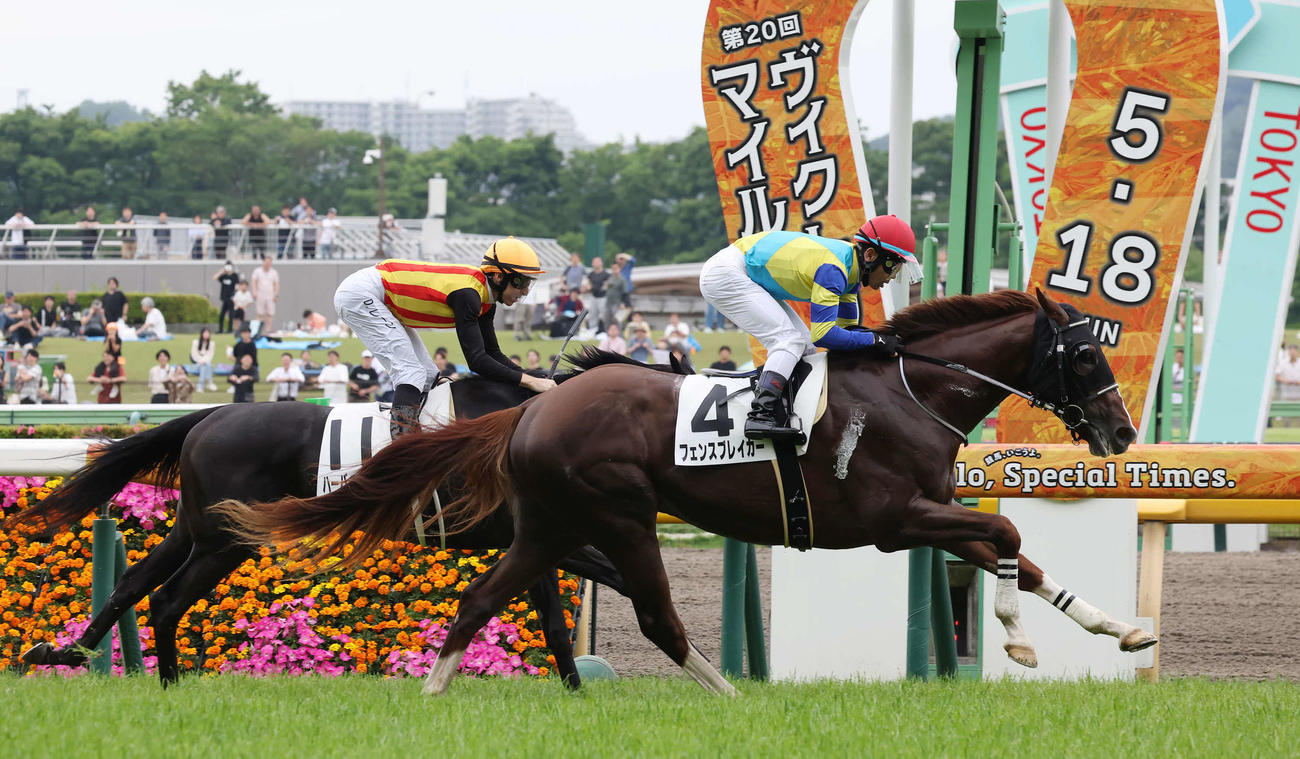 東京4R、3歳未勝利戦を制したフェンスブレイカーと戸崎騎手（撮影・丹羽敏通）