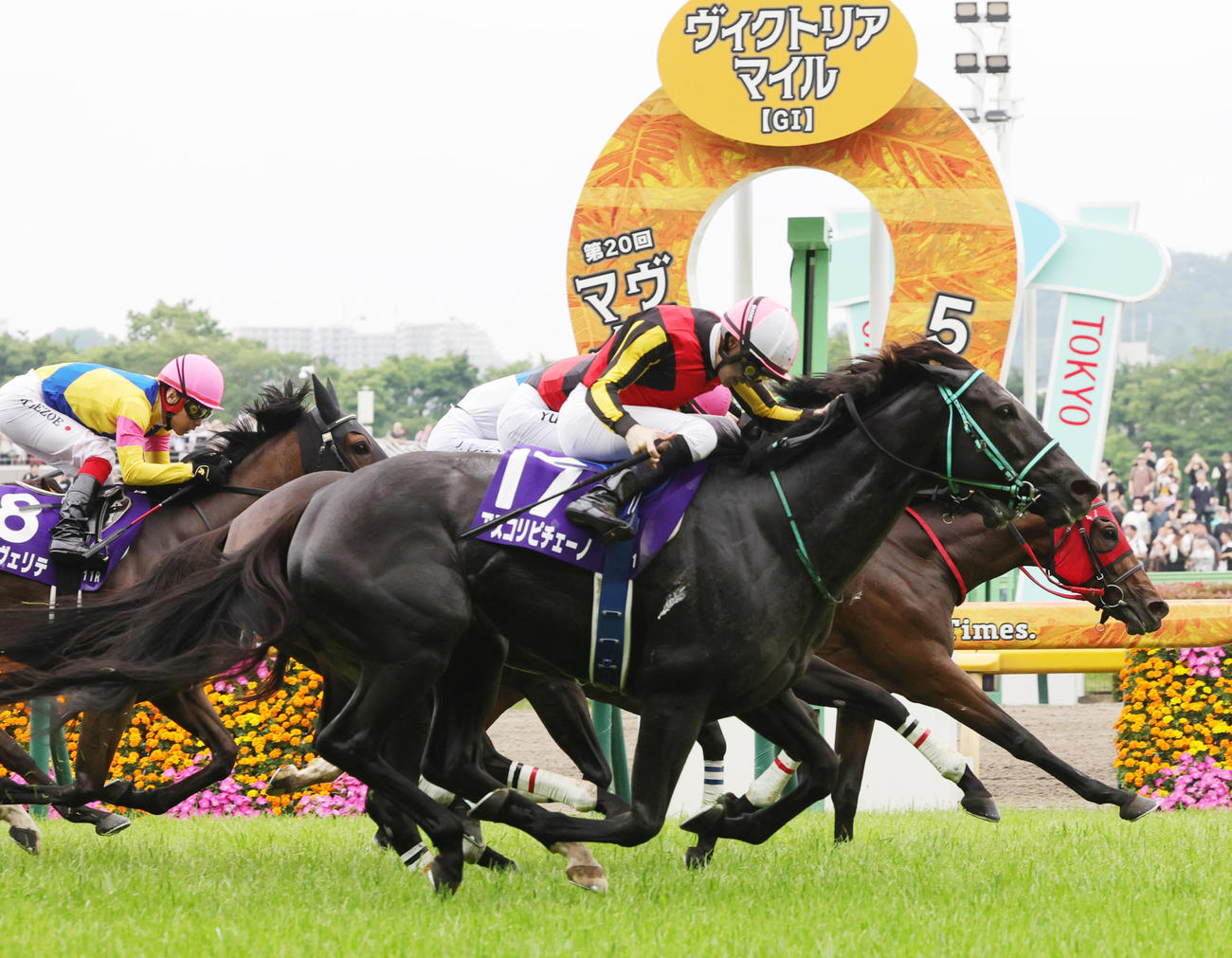 ヴィクトリアMを制したルメール騎乗のアスコリピチェーノ（手前）（撮影・野上伸悟）