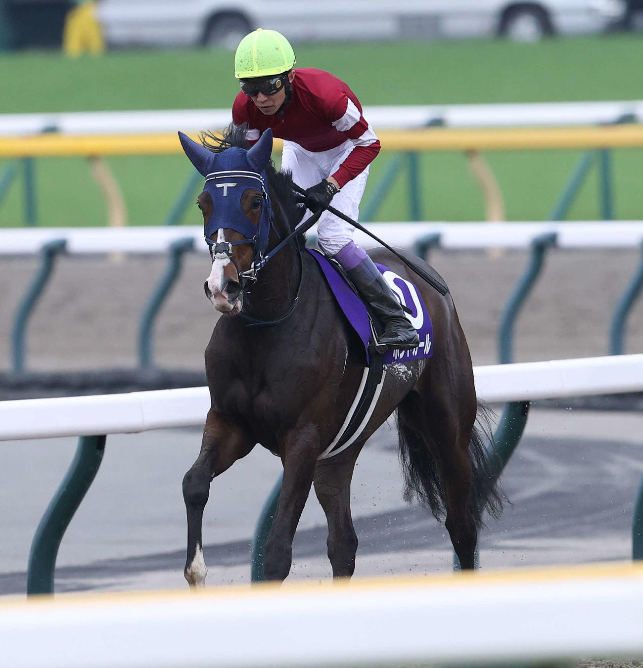 東京11R、ヴィクトリアMで2番人気に支持されたが、16着に敗れたボンドガールと武豊騎手（撮影・丹羽敏通）