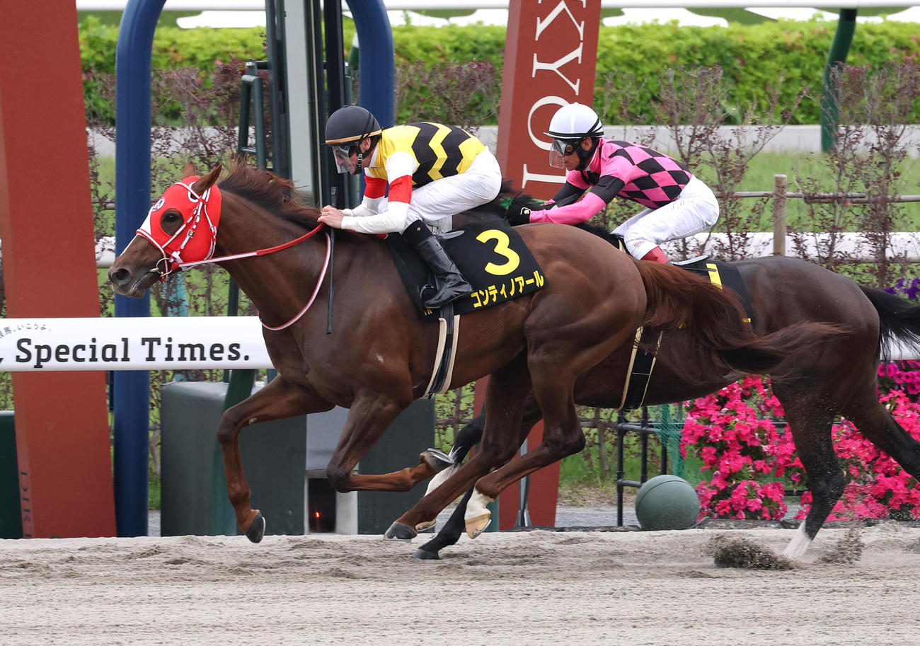 栗東Sを制したコンティノアール。鞍上のシュタルケ騎手はJRA通算100勝を達成する（撮影・白石智彦）
