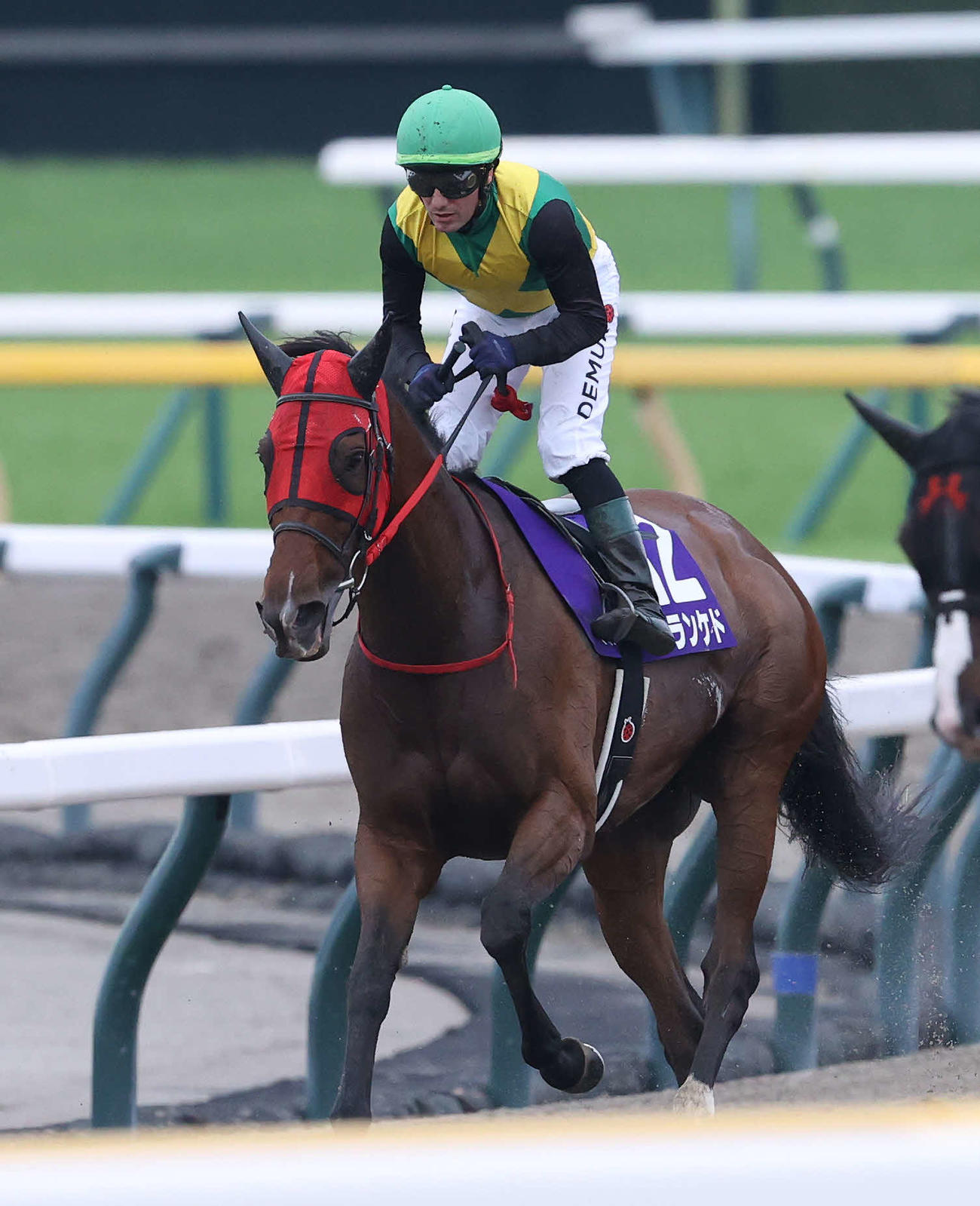 東京11R、ヴィクトリアMで3着になったシランケドとM・デムーロ騎手（撮影・丹羽敏通）