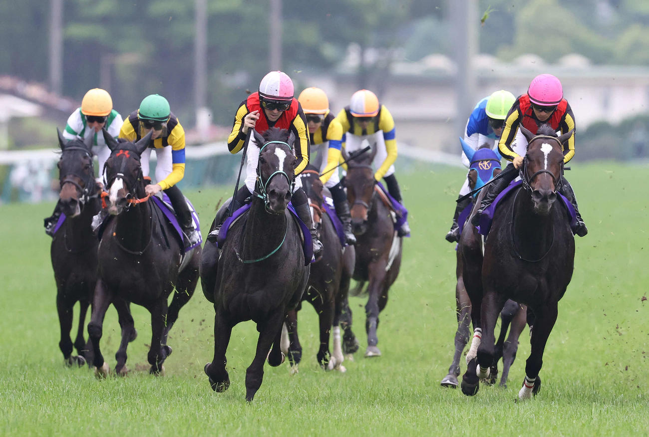 ヴィクトリアMを制したアスコリピチェーノ（左から3頭目）。右端は2着クイーンズウォーク