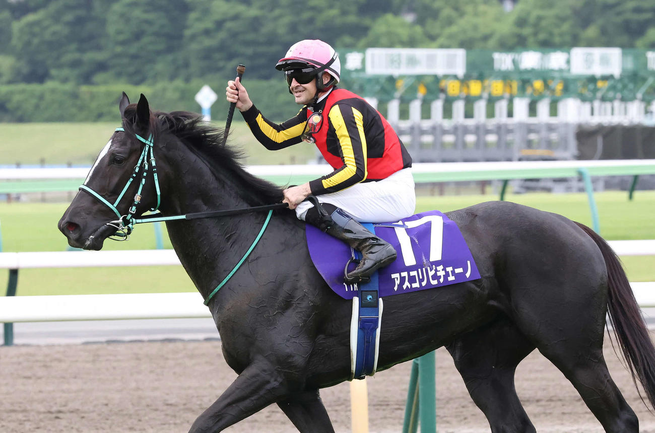 東京11R、アスコリピチェーノでヴィクトリアMを制して声援に応えるルメール騎手（撮影・丹羽敏通）