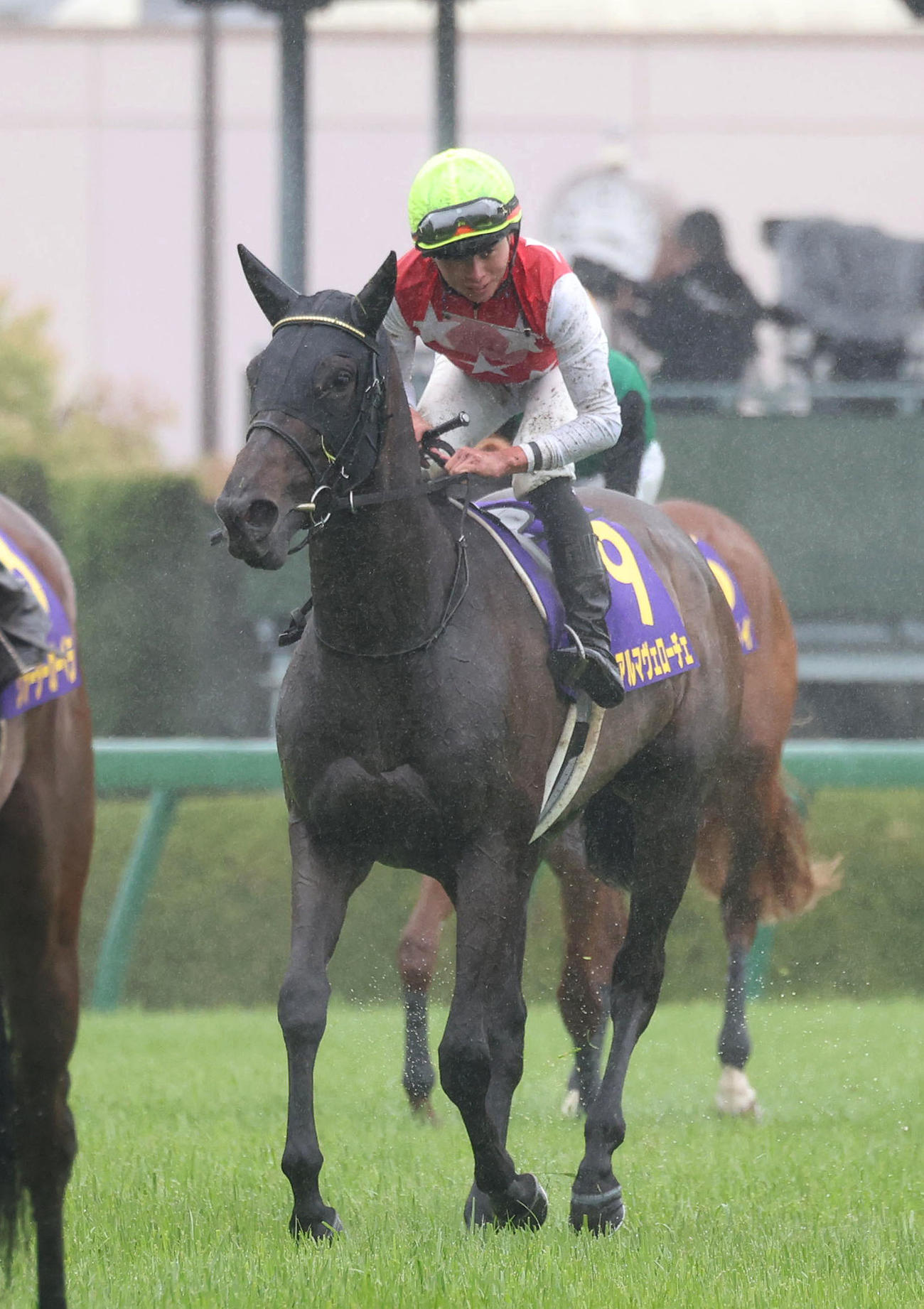 4月、桜花賞で2着となり、引き揚げるアルマヴェローチェ