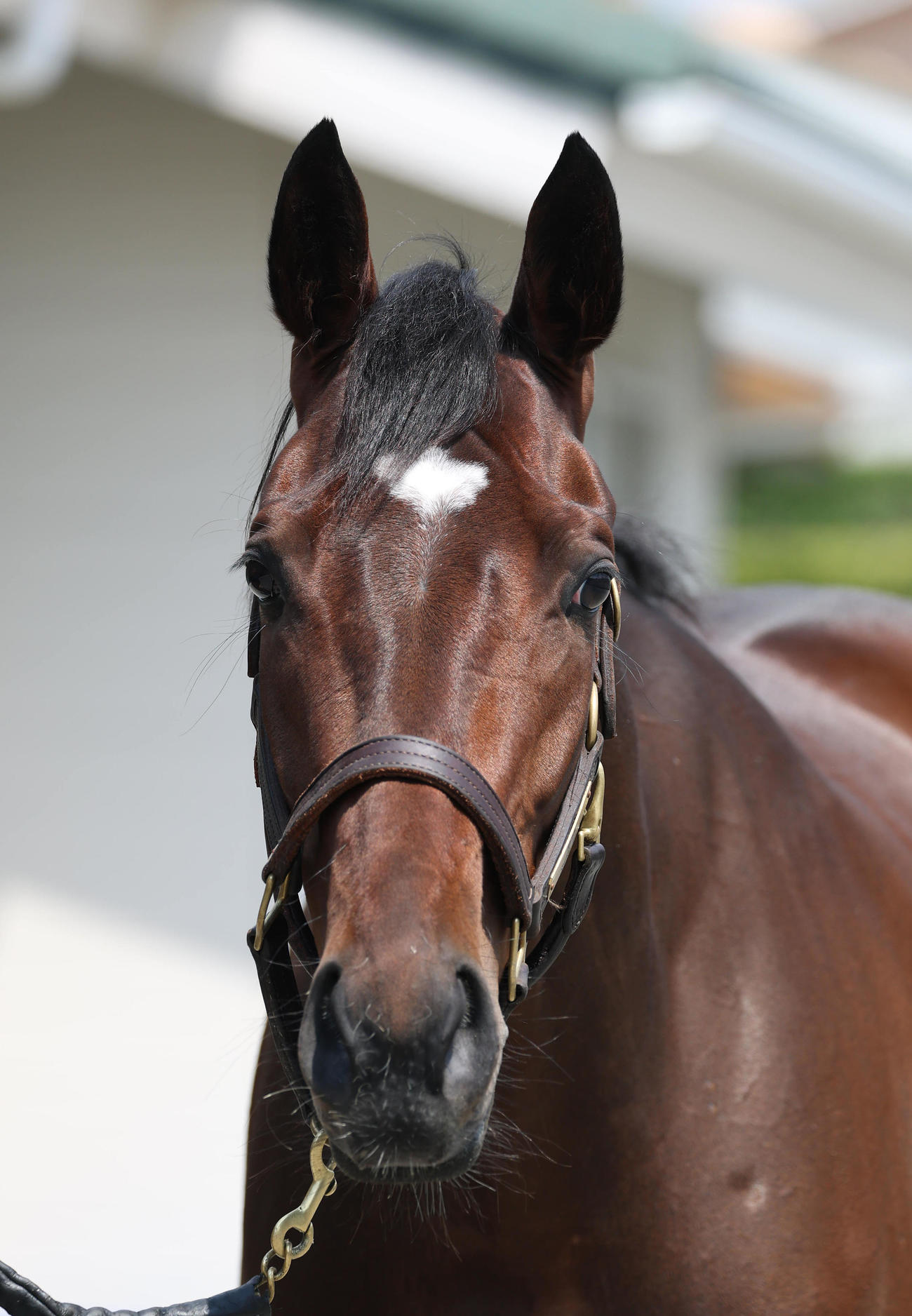 レーゼドラマ（2025年5月14日撮影）