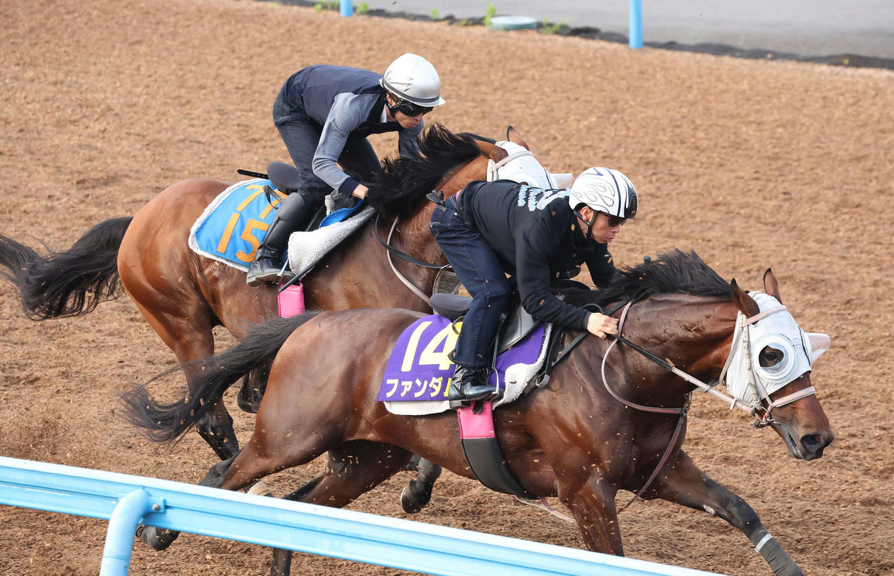 ファンダムは北村宏騎手を背に美浦ウッドで追い切られた（撮影・丹羽敏通）