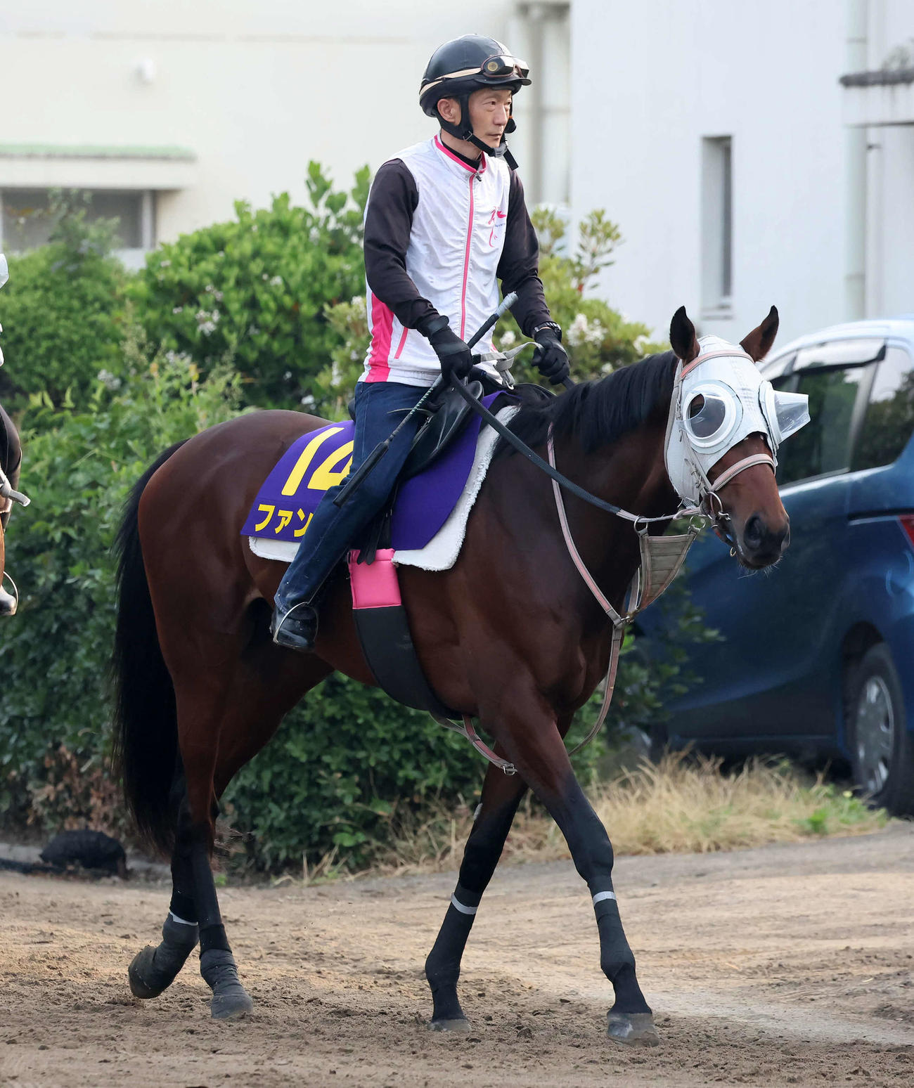 乗り運動で調整するファンダム（撮影・丹羽敏通）