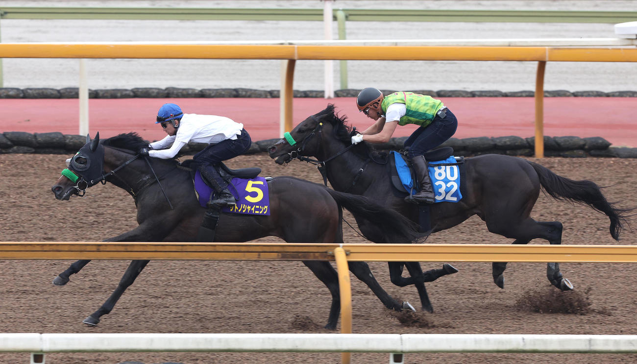 武豊騎手を背にCウッドをリミットバスター（右）と併せ馬で追い切るサトノシャイニング（撮影・白石智彦）