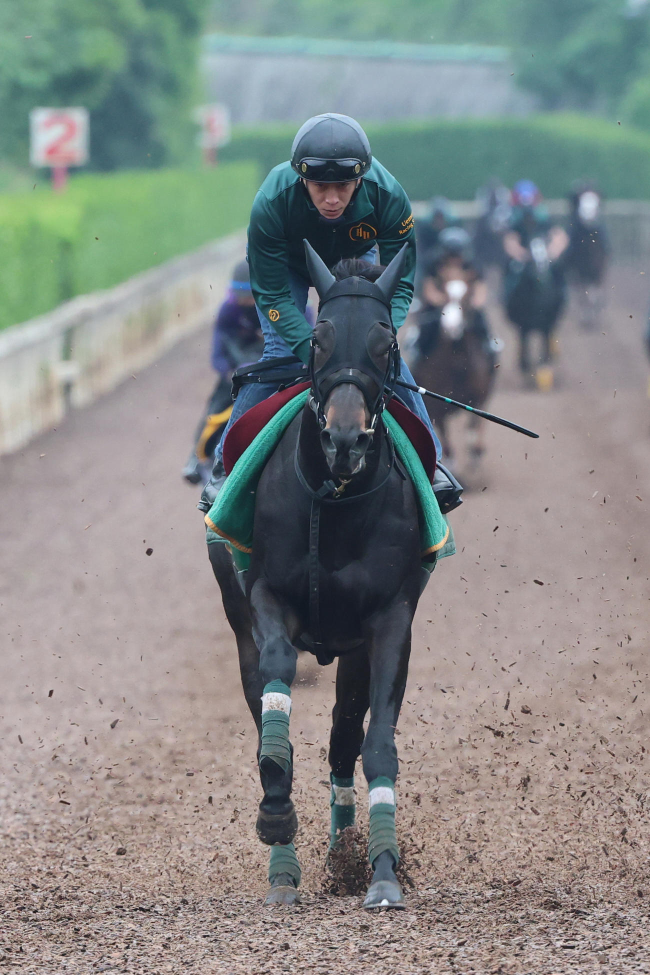 坂路で併せ馬で仕上げられたアルマヴェローチェ