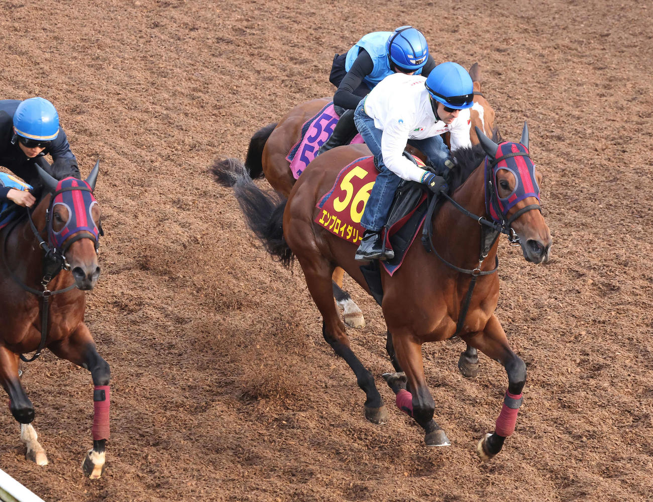 エンブロイダリー（中央）はルメール騎手を背に美浦坂路を3頭併せで登坂した（撮影・丹羽敏通）