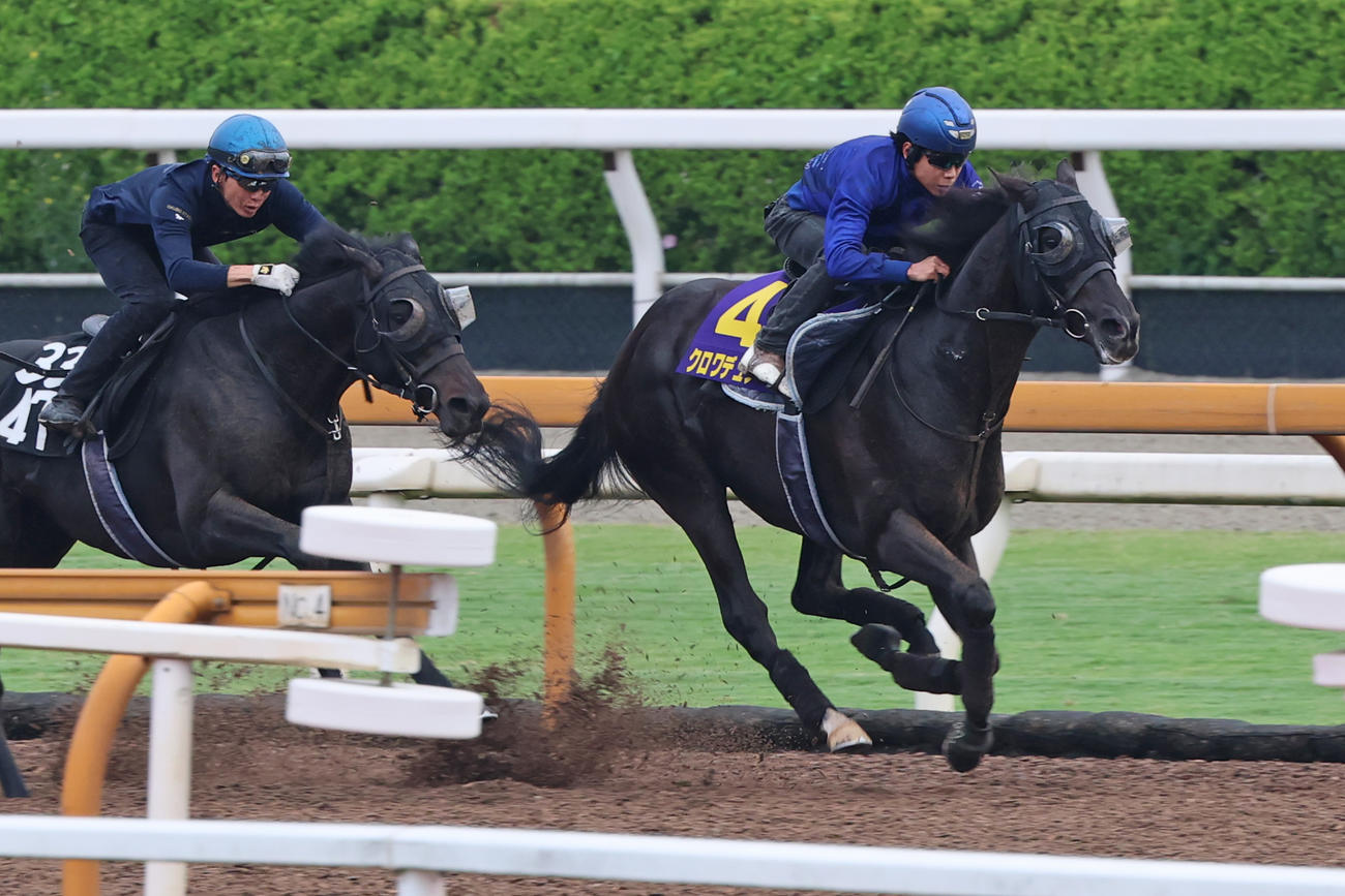 北村友一騎手が騎乗し、併せ馬に先着するクロワデュノール（右）
