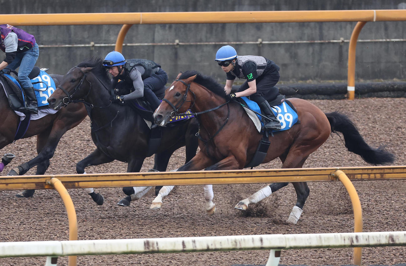 レーン騎手を背にCウッドをカズプレスト（右）と併せ馬で追い切るミュージアムマイル（撮影・白石智彦）