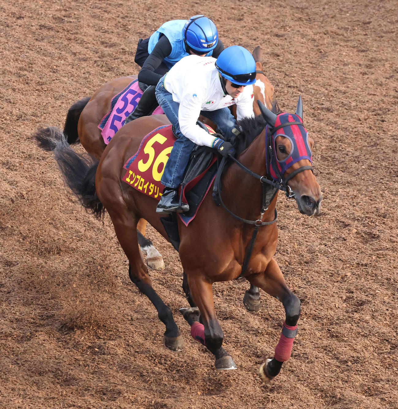 エンブロイダリー（中央）はルメール騎手を背に美浦坂路を3頭併せで登坂した（撮影・丹羽敏通）