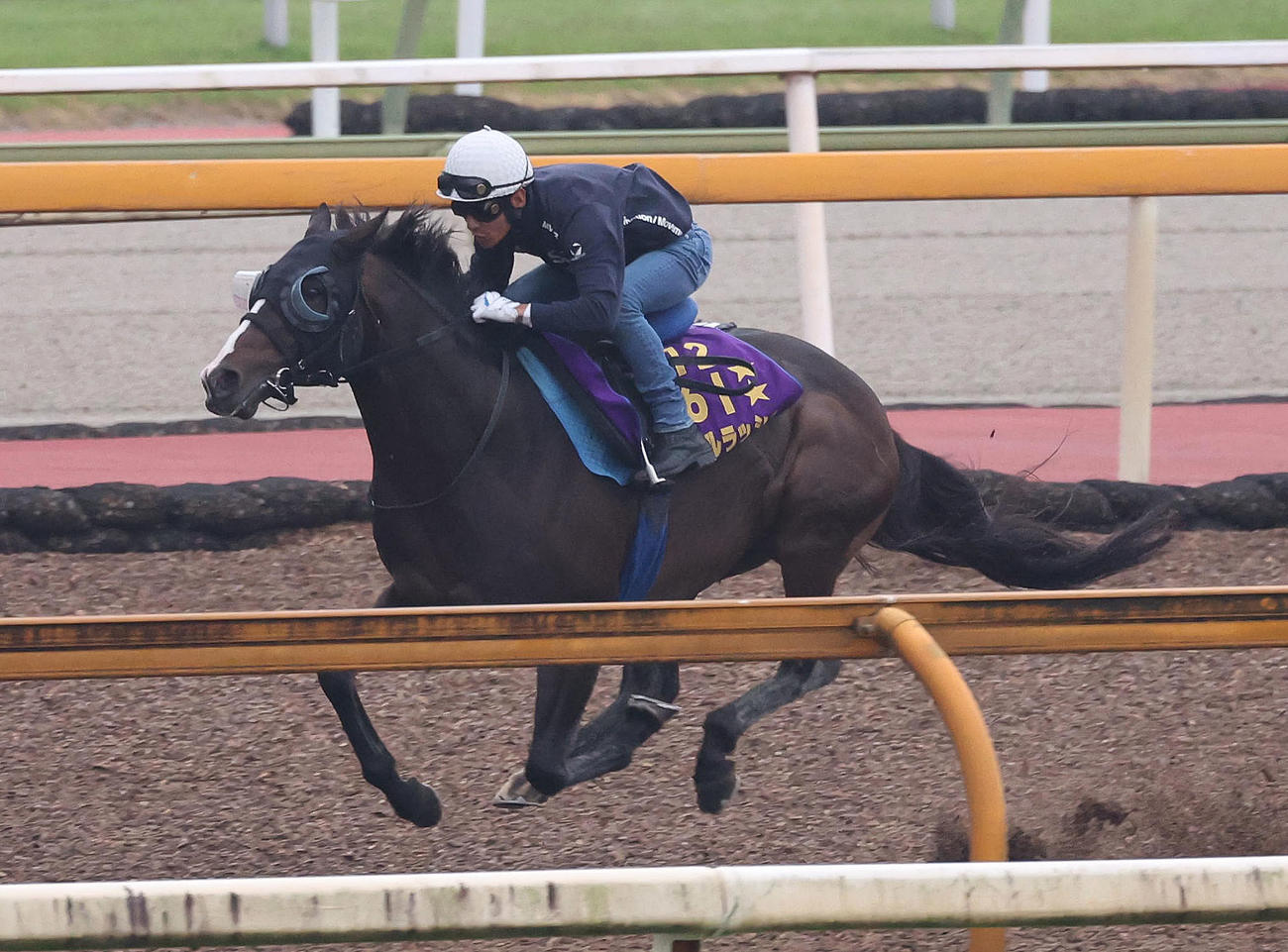浜中騎手を背にCウッドをスヴァルナと併せ馬で追い切るソウルラッシュ（撮影・白石智彦）