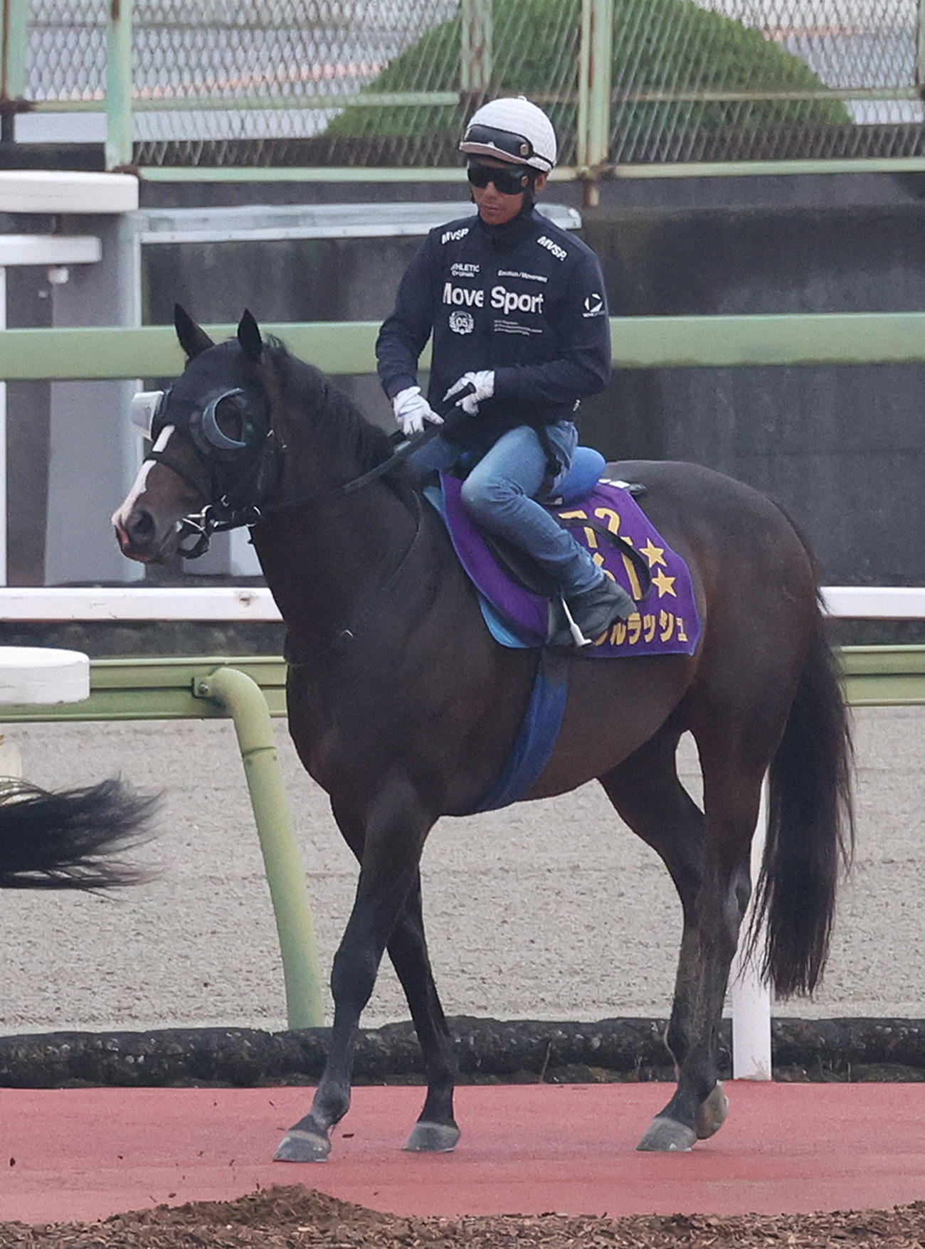 浜中騎手を背に馬場入りするソウルラッシュ（撮影・白石智彦）