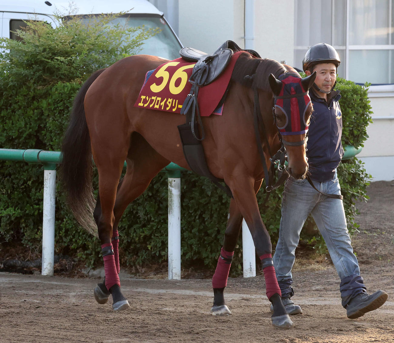 15日、引き運動で調整するエンブロイダリー