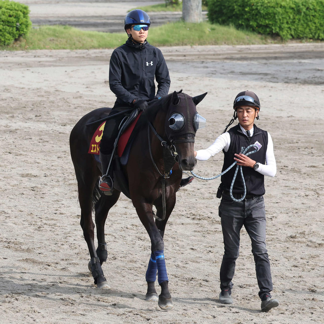 エストゥペンダ。右は高柳瑞樹調教師（2025年5月21日撮影）