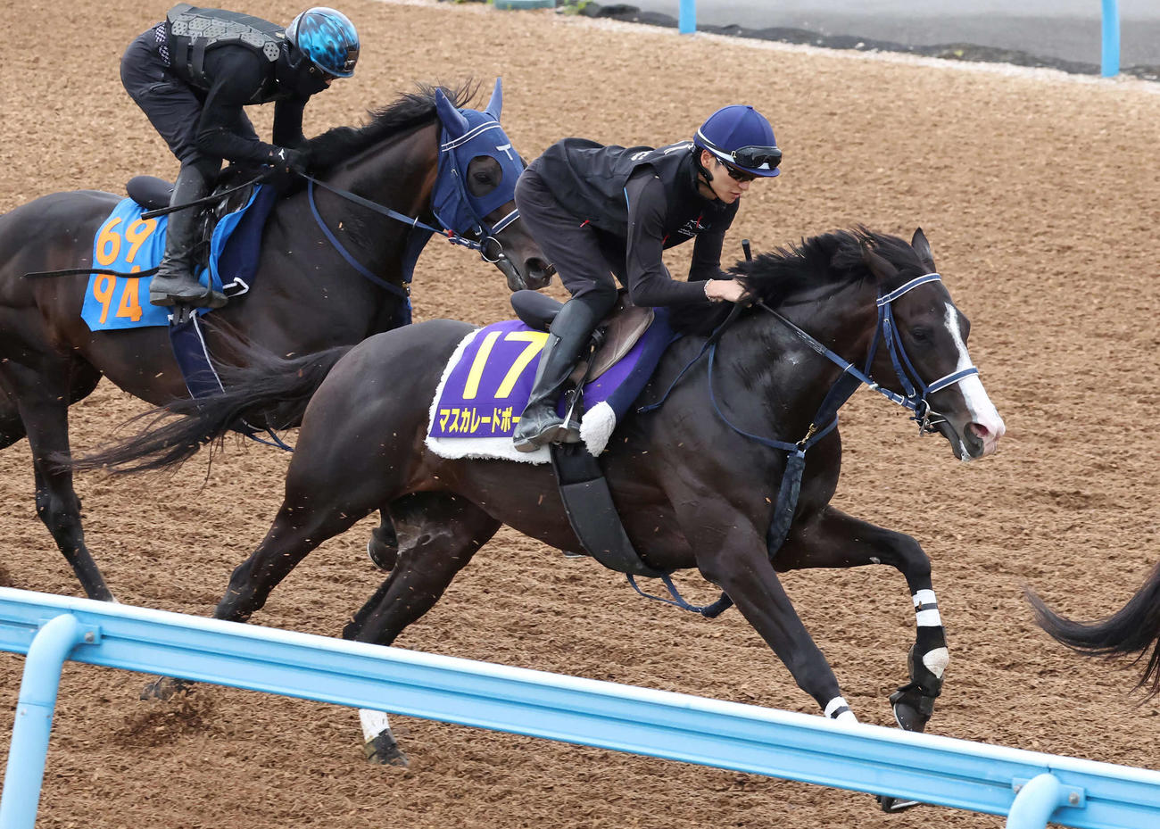 マスカレードボールは坂井騎手を背に美浦ウッドで追い切られた（撮影・丹羽敏通）