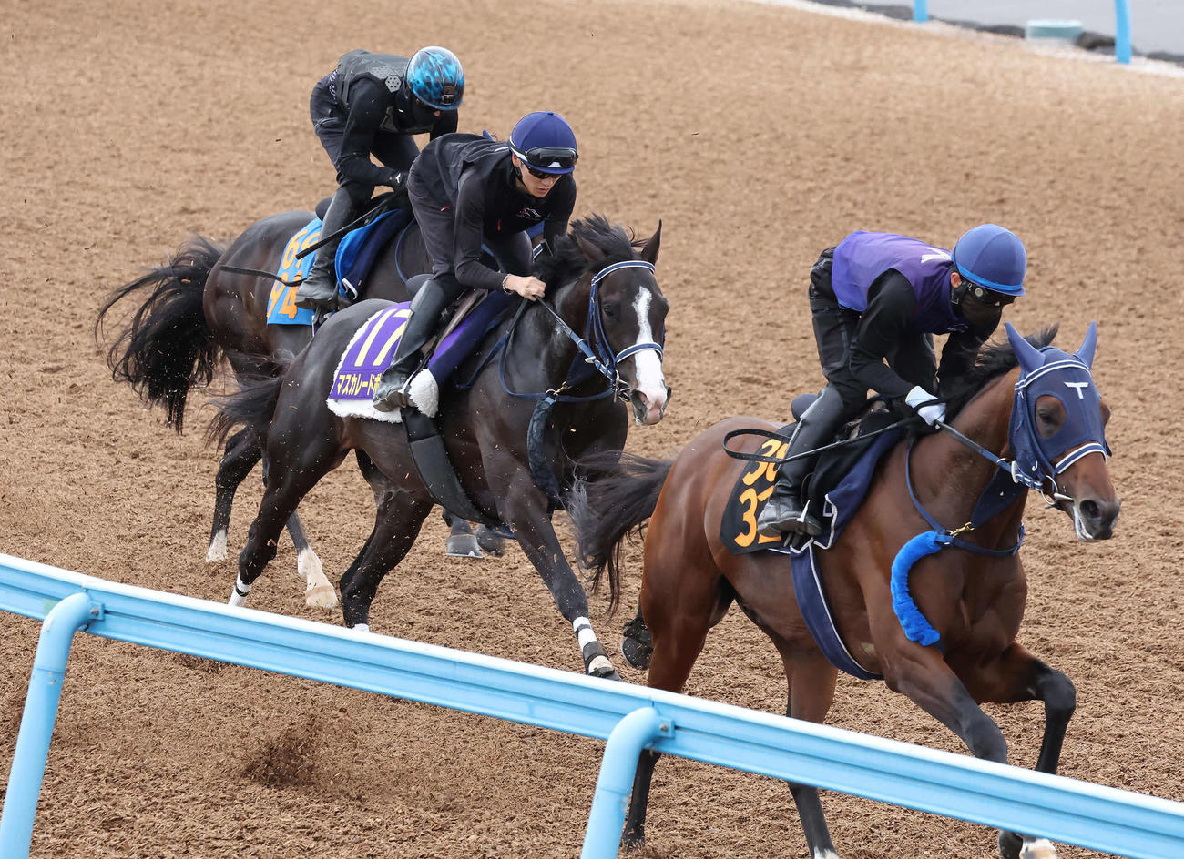 マスカレードボール（中央）は坂井騎手を背に美浦ウッドを3頭併せで追い切られた（撮影・丹羽敏通）