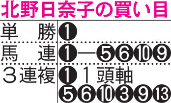 北野日奈子の買い目