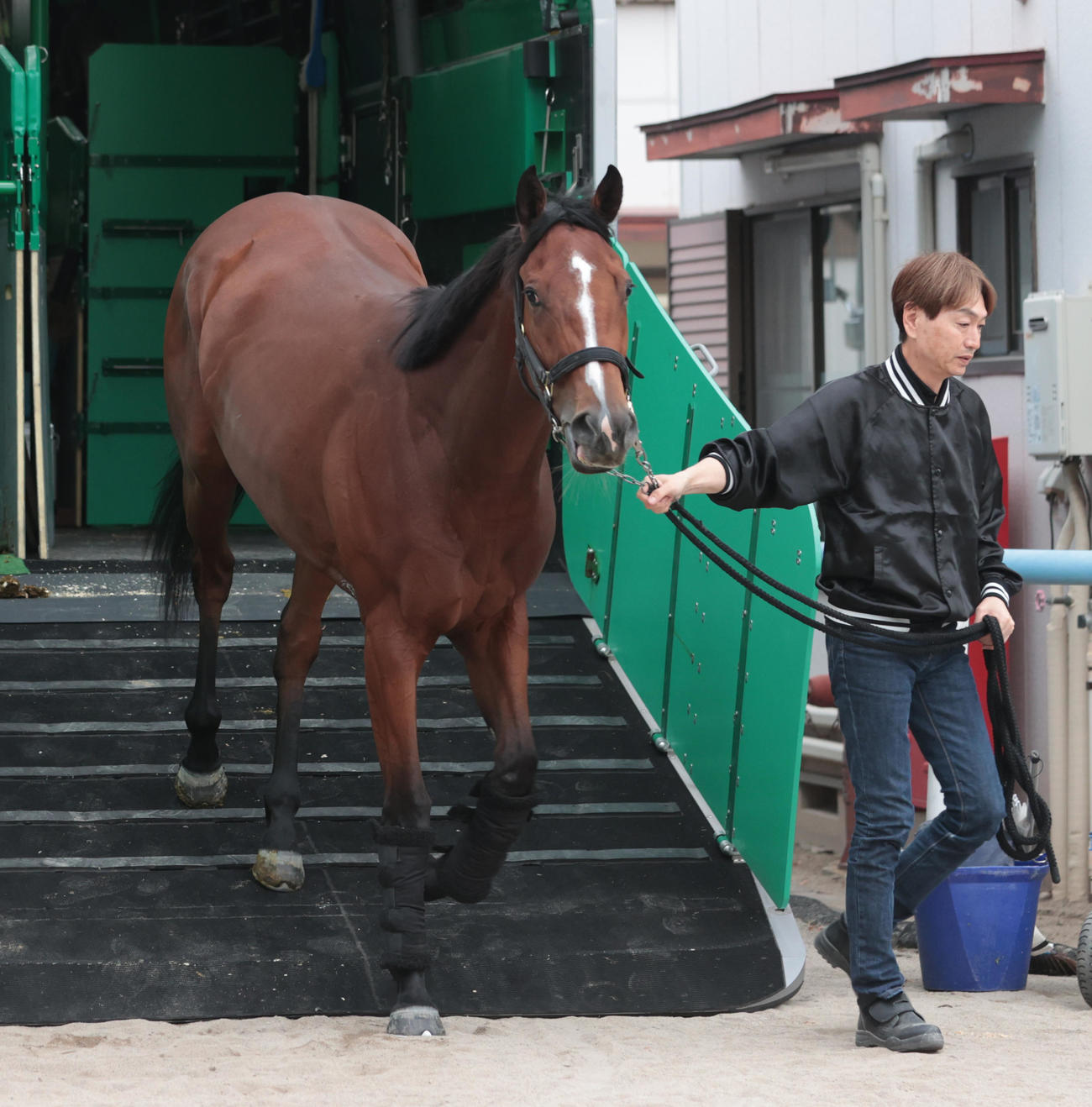 東京競馬場に到着したパラディレーヌ（撮影・柴田隆二）