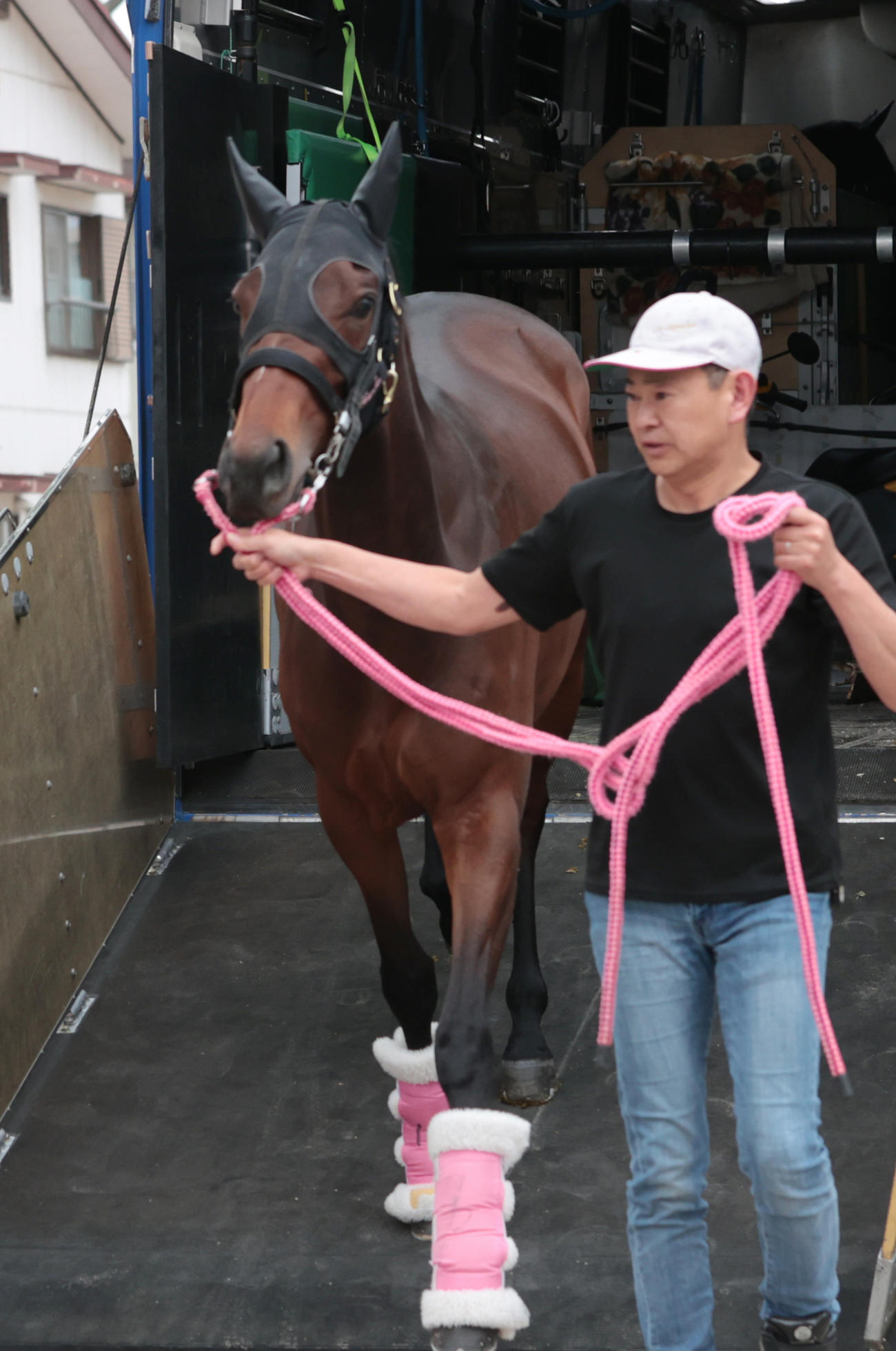 東京競馬場に到着したビップデイジー（撮影・柴田隆二）