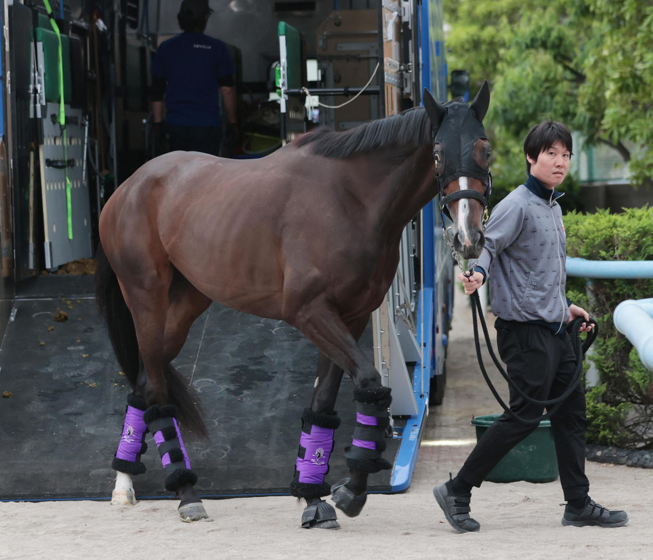 東京競馬場に到着したカムニャック（撮影・柴田隆二）