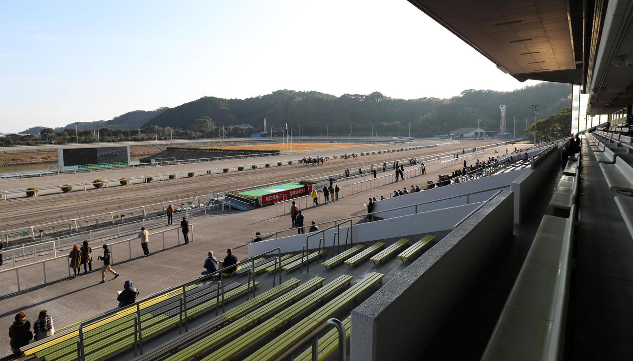 高知競馬場