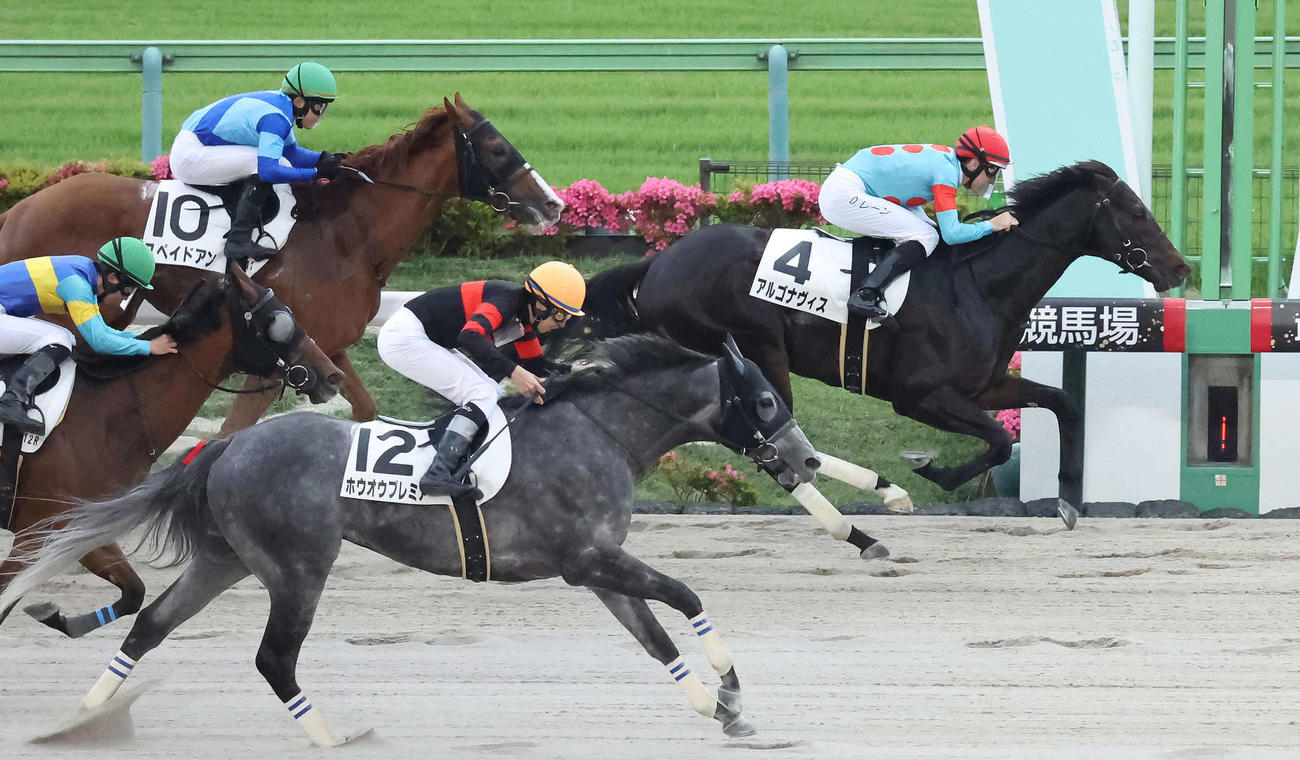 東京12Rをアルゴナヴィスで制し、この日6勝目のレーン騎手（撮影・丹羽敏通）