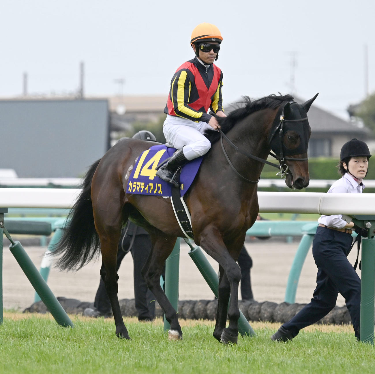 皐月賞10着に敗れたカラマティアノス
