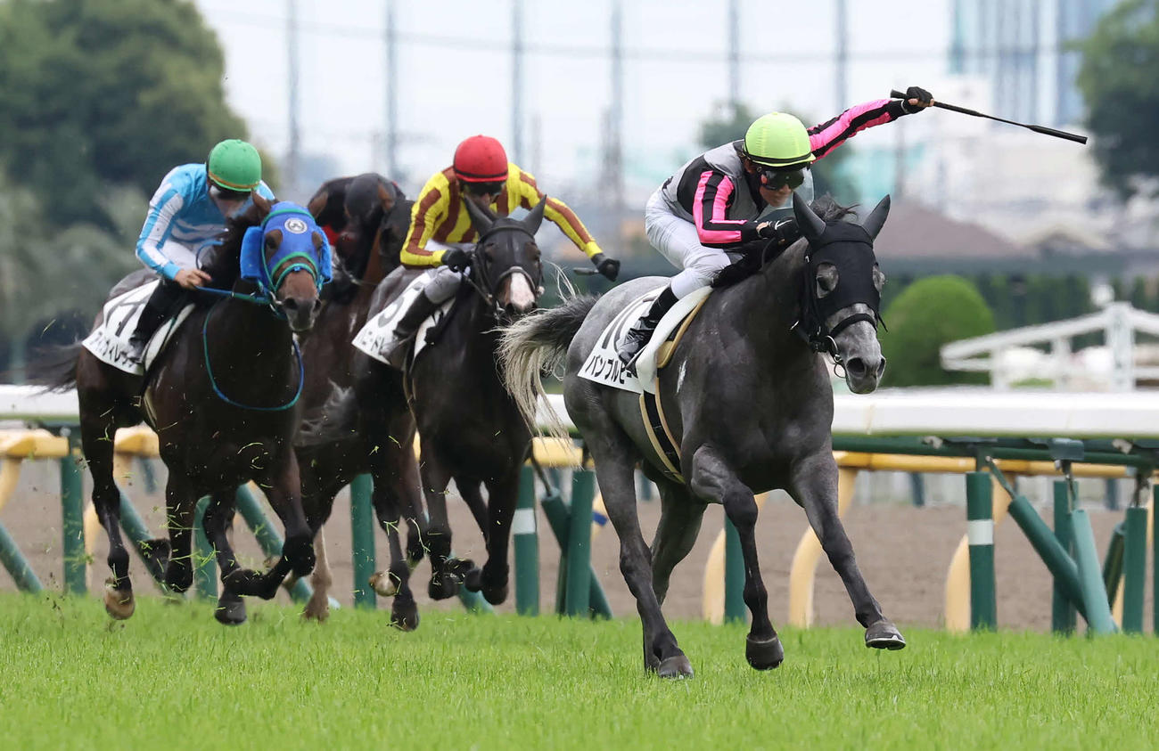 東京4R、3歳未勝利戦を制したバンブルビーと田辺騎手（撮影・丹羽敏通）