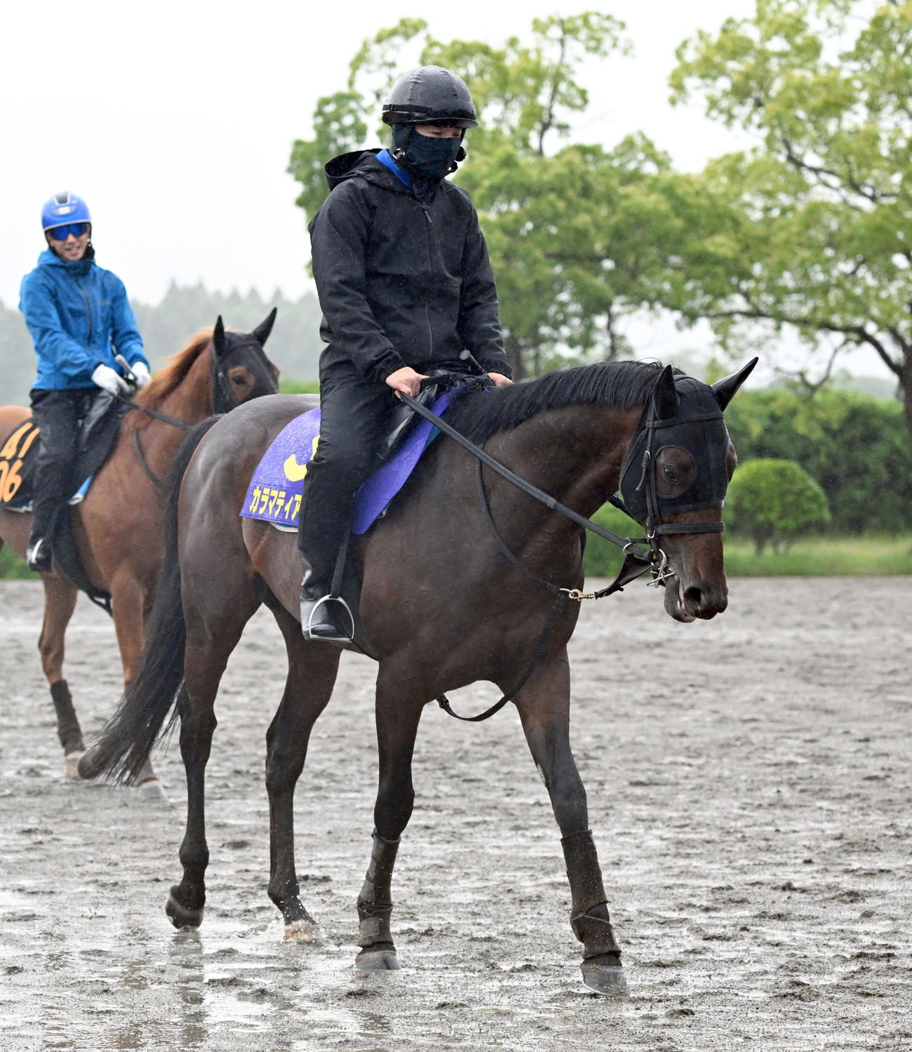 追い切りを終え、馬場を出るカラマティアノス（撮影・千葉一成）