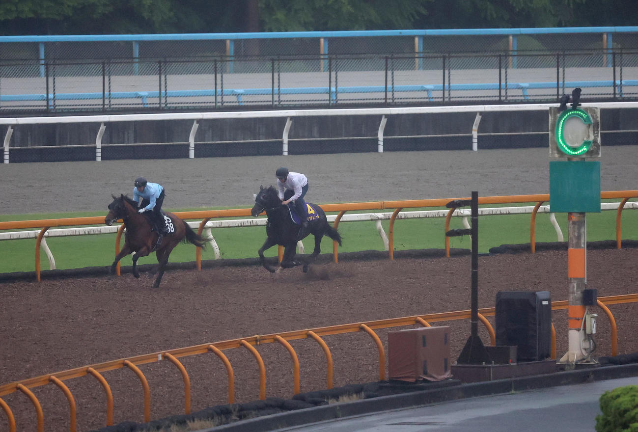 Cウッドで追い切るクロワデュノール（右）（撮影・白石智彦）