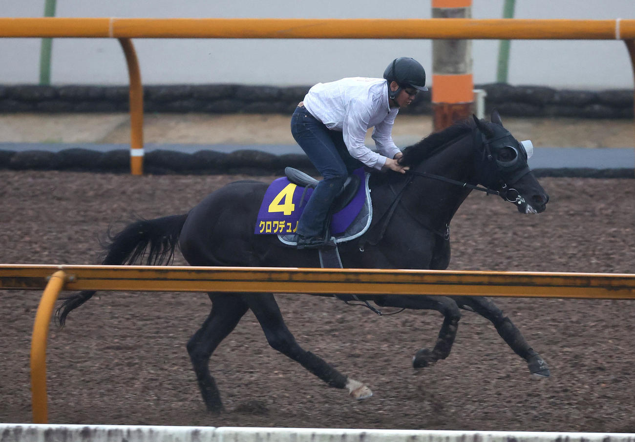 Cウッドで追い切るクロワデュノール（撮影・白石智彦）
