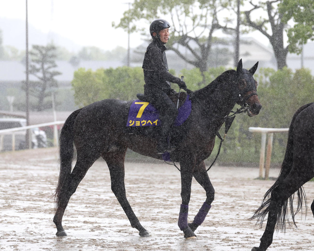 激しい降雨の中で引き揚げるショウヘイ（撮影・白石智彦）