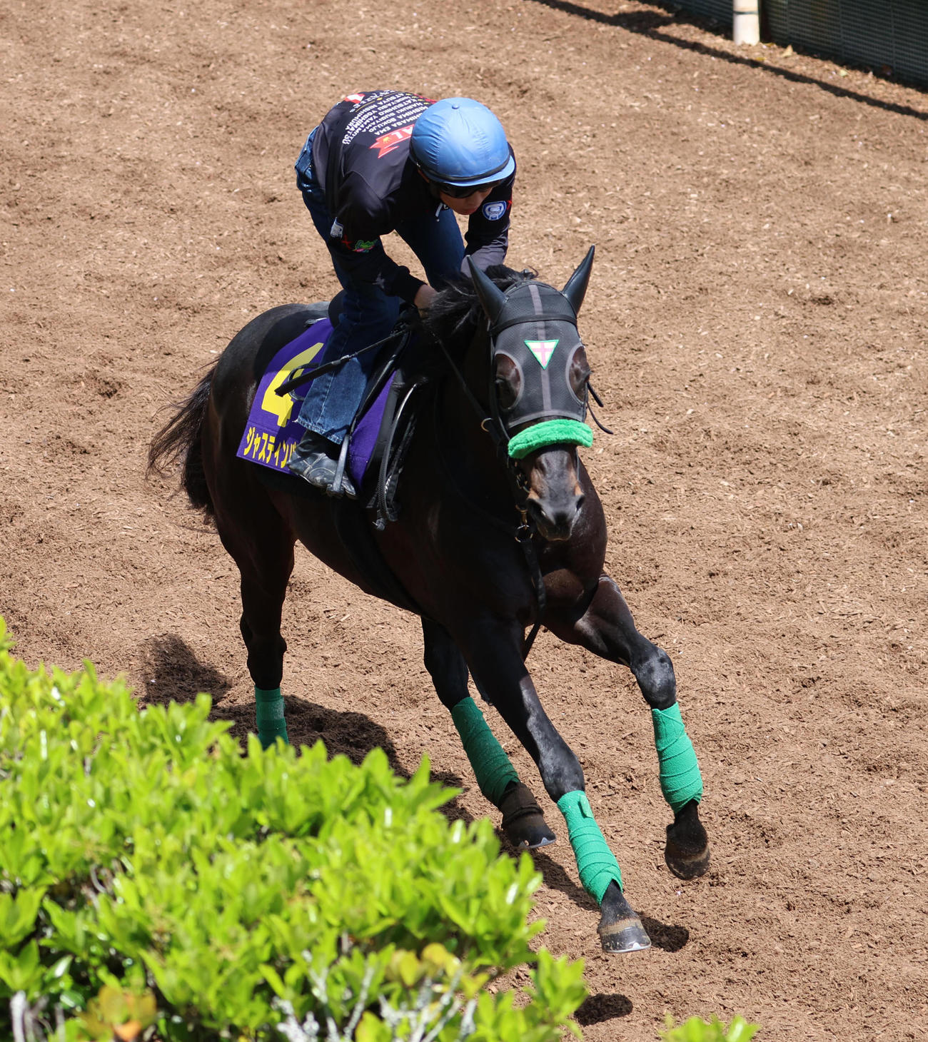 ジャスティンパレス（2025年4月撮影）
